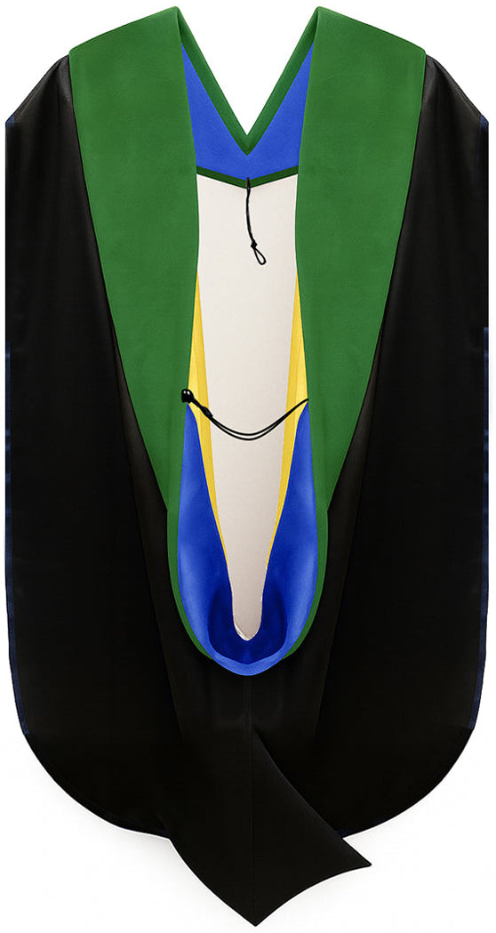 Doctor of Medicine Hood - Royal Blue & Gold