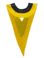 Double Colour V-Stoles